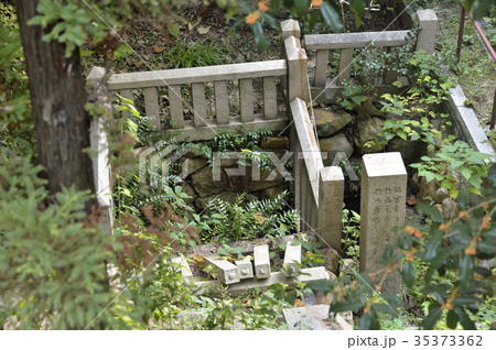 安居の清水　かんしづめの井　安居神社　大阪 35373362
