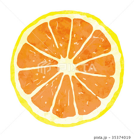フルーツ 果物 オレンジのイラスト素材