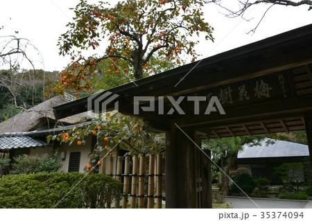 鎌倉五山、浄智寺庭園風景 鎌倉五山、浄智寺庭園風景 35374094