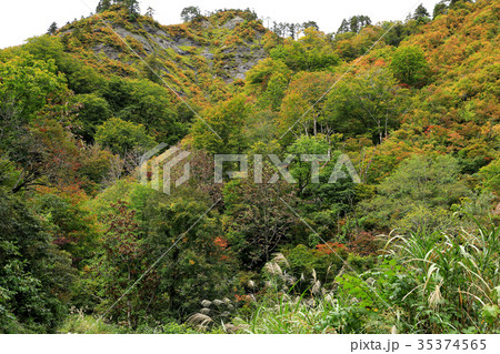 色づき始めた山肌 只見町 色づき始めた山肌 只見町 35374565