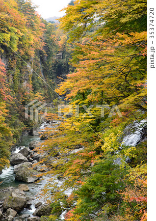 紅葉の小安峡 秋田県 紅葉の小安峡 秋田県 35374720