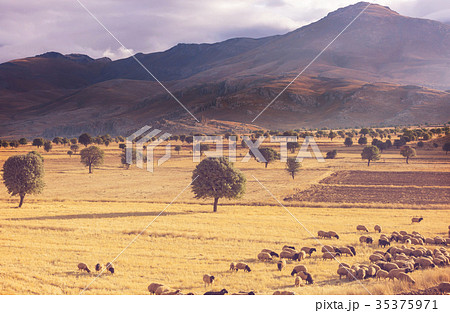 Turkey landscapes 35375971
