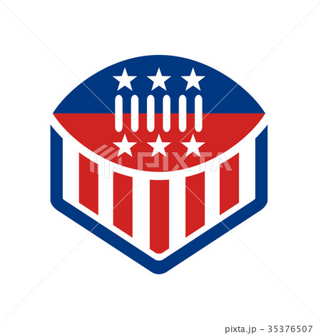 American Football USA Flag Crest Icon 35376507
