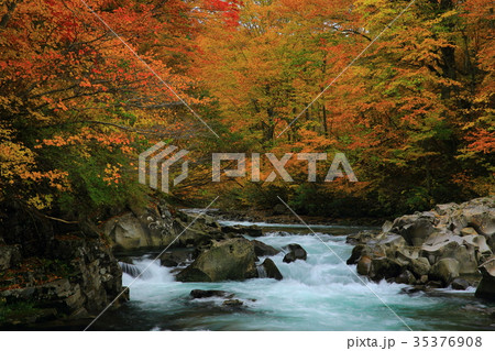 紅葉の法体の滝 35376908