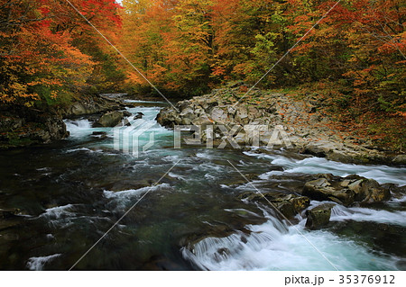 紅葉の法体の滝 35376912