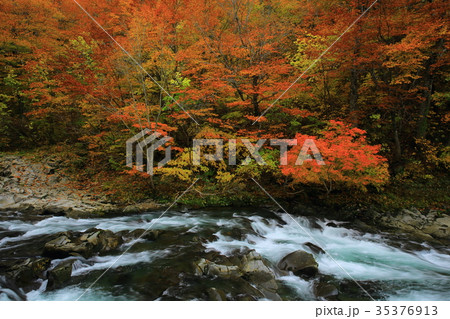 紅葉の法体の滝 紅葉の法体の滝 35376913