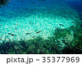 Fish in the Plitvice Lakes in Croatia 35377969