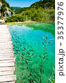 Fish in the national park Plitvice, Croatia 35377976