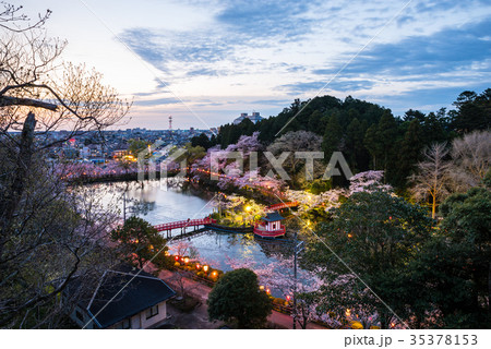 茂原公園 夜桜ライトアップと夜明けの眺望 千葉県茂原市 17年4月撮影の写真素材 茂原公園 夜桜ライトアップと夜明けの眺望 千葉県茂原市 17年4月撮影の写真素材