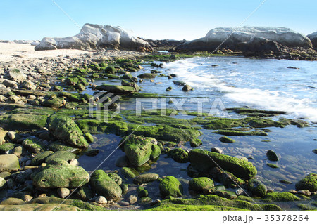 根本海岸 根本海岸 35378264