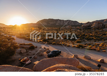 Single Traveller in Joshua Tree 35378265