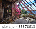 Beauty flower in winter Garden The interior old 35378613