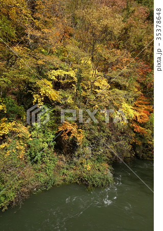 巴淵　紅葉 35378648