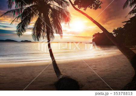 beautiful sunset sky at sea beach  35378813