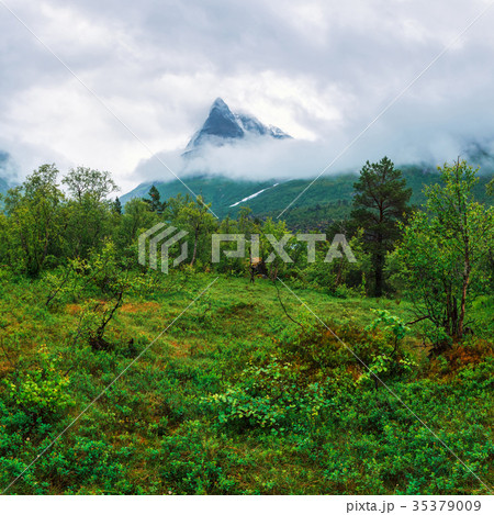 Mountain peak in fog in Innerdalen 35379009