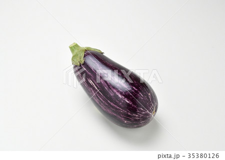 縞ムラサキ茄子 縞ムラサキ茄子 35380126