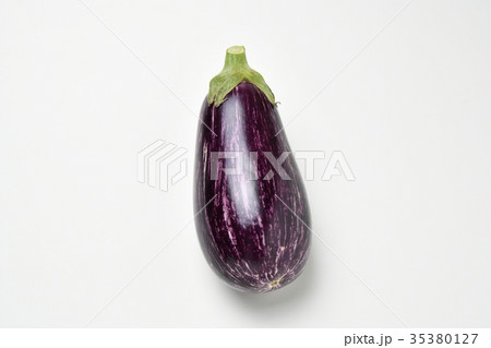 縞ムラサキ茄子 35380127