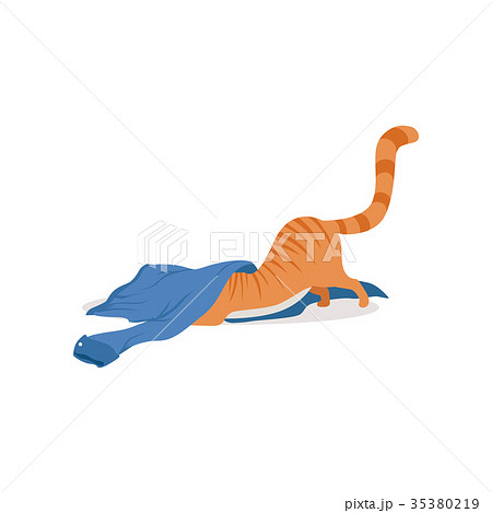 Cute funny red cat playing with blue shirt vector 35380219