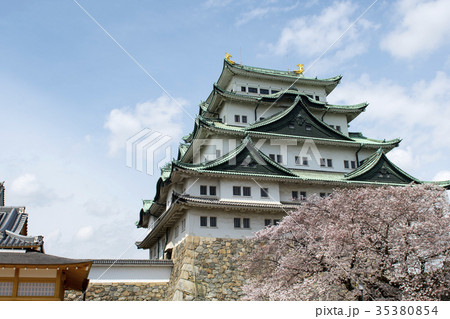 春の名古屋城 春の名古屋城 35380854