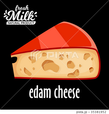 cut piece of cheese edam vector isolated on black 35381952