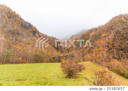 Fudodaki in autumn of Yonago Fudodaki in autumn of Yonago 35382657
