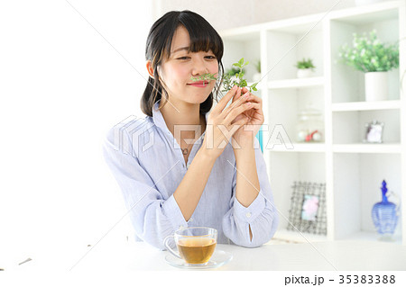 ハーブティーを飲む女性 ハーブティーを飲む女性 35383388