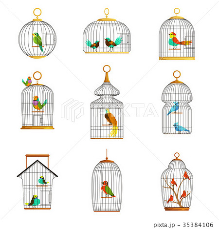 Bird Cages With Different Birds Set Of Vectorのイラスト素材