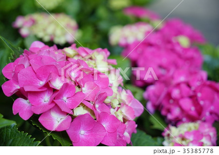 景色 風景 絵 35385778