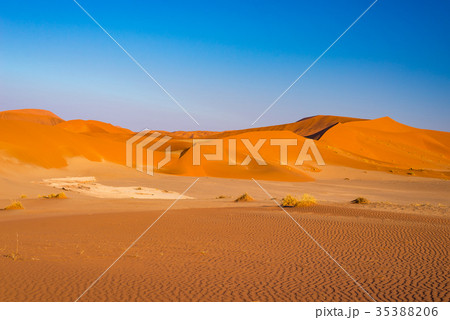 Sossusvlei Sand Dunes, Namibia Sossusvlei Sand Dunes, Namibia 35388206
