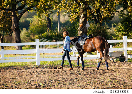 Beautiful girl with horse 35388398