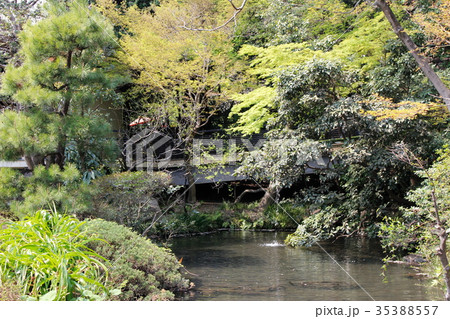 深大寺　神大寺植物公園 35388557