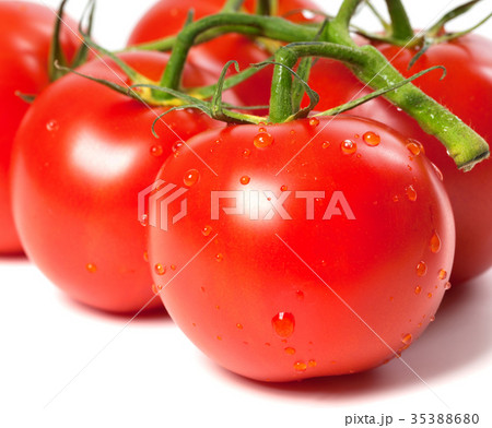 Ripe wet tomato with water drops 35388680