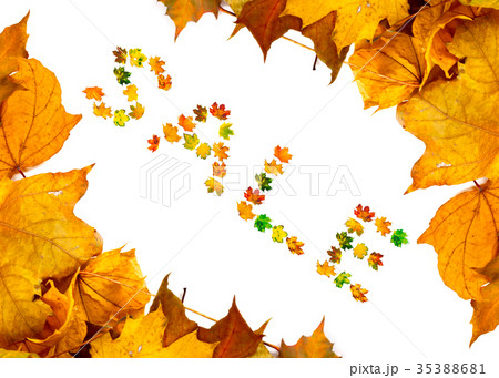 Autumn maple leafs background with word SALE 35388681