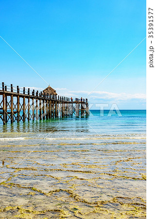 ザンジバル島の海岸(タンザニア、ザンジバル) ザンジバル島の海岸(タンザニア、ザンジバル) 35391577