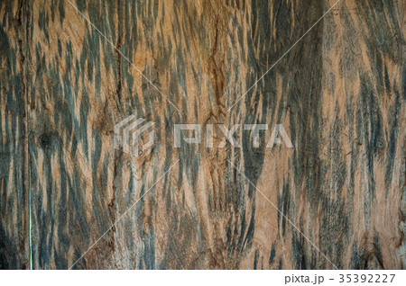 Wood plank texture Wood plank texture 35392227