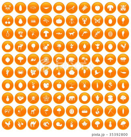 100 live nature icons set orange 100 live nature icons set orange 35392800