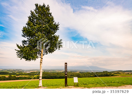 《北海道》上富良野・丘から眺める田園風景 35397629