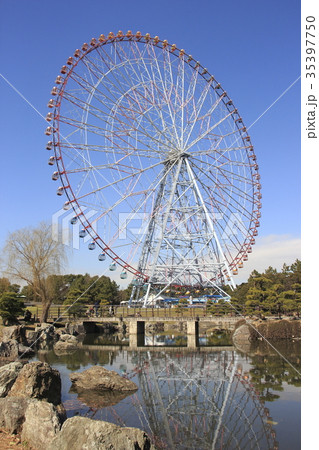 葛西臨海公園 ダイヤと花の大観覧車 の写真素材