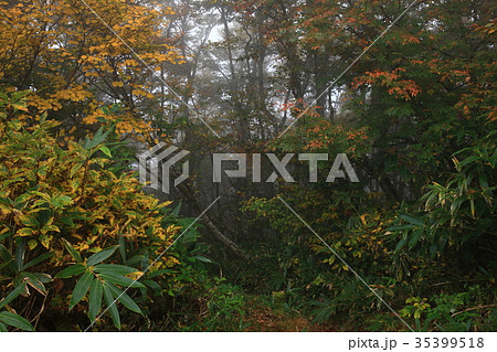 荒島岳より 35399518