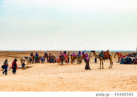 Camel caravan in Egypt Camel caravan in Egypt 35400595