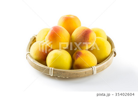 黄色く完熟した青梅 35402604