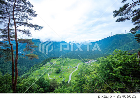 岐阜のマチュピチュ（天空の茶畑） 35406025