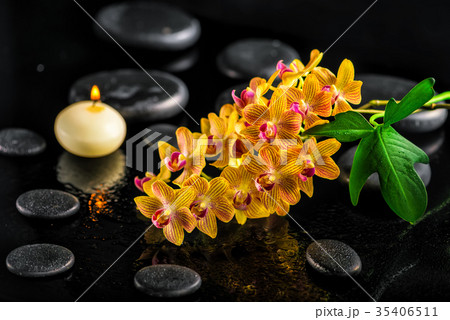 spa composition of blooming twig orchid flower, spa composition of blooming twig orchid flower, 35406511