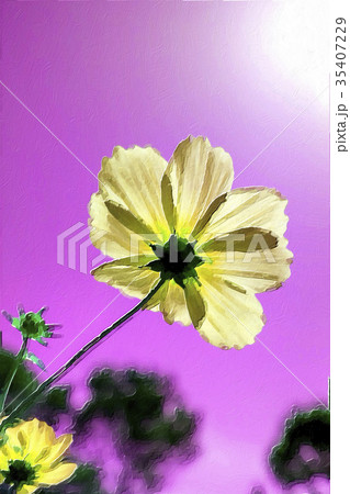 Expressionism Style Oil Painting; Pink Cosmos  35407229