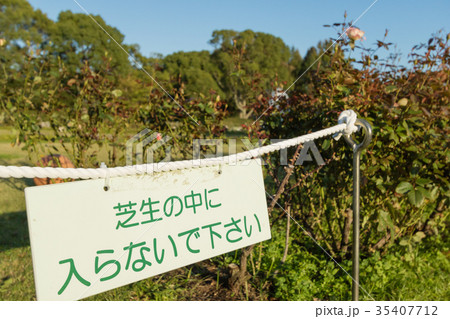 芝生養生中看板 芝生養生中看板 35407712