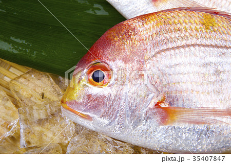 タイ　食材 35407847