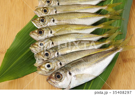 豆アジ 豆アジ 35408297