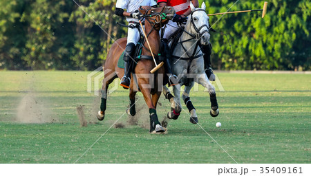 Horse Polo Player battle i Horse Polo Player battle i 35409161