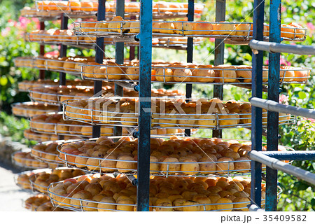 食べ物 食物 フード 35409582