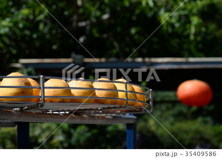 食べ物 食物 フード 35409586